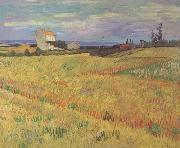 Vincent Van Gogh Wheat Field (nn04) oil painting on canvas